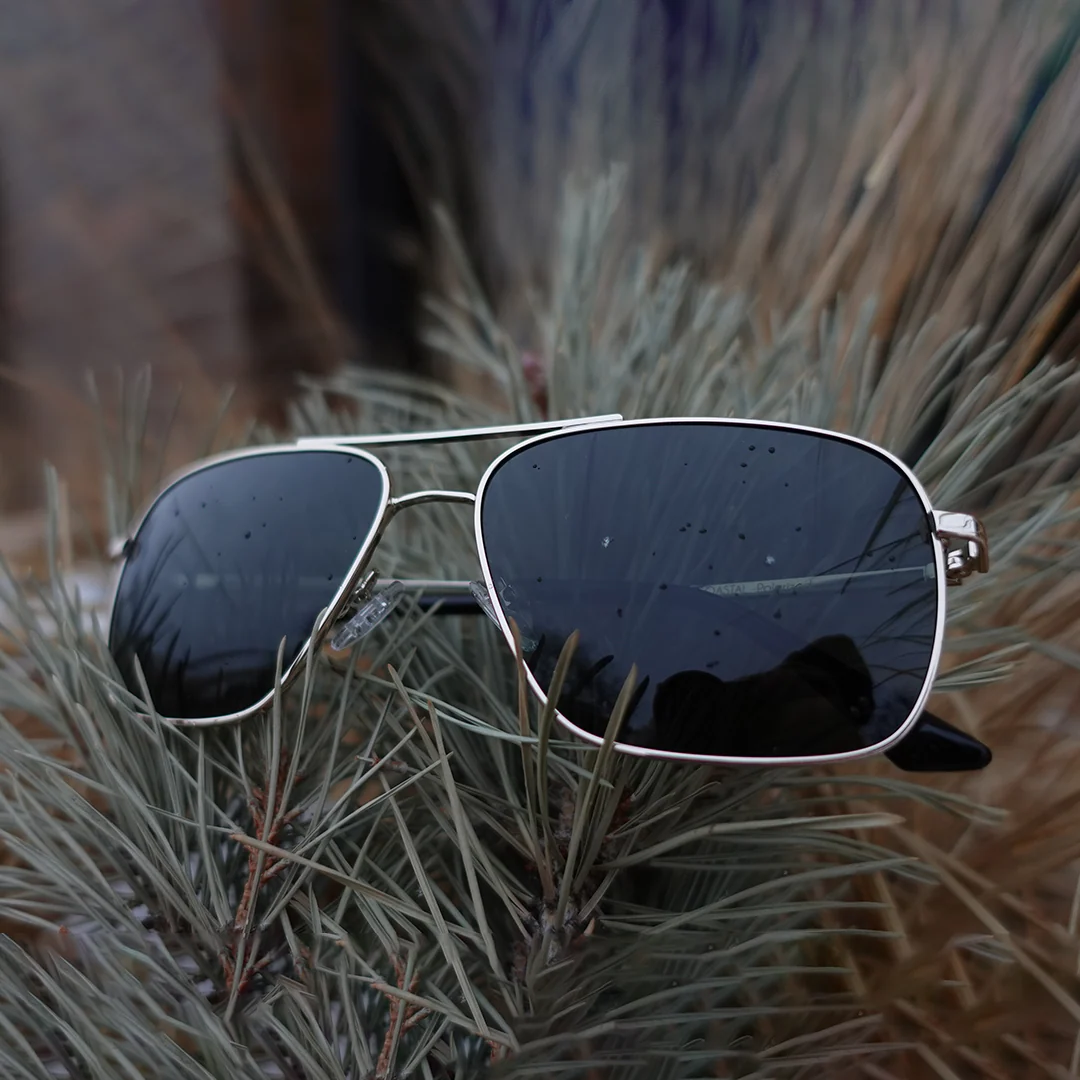 Coastal - Gold- Jet Black Polarized - Image 5