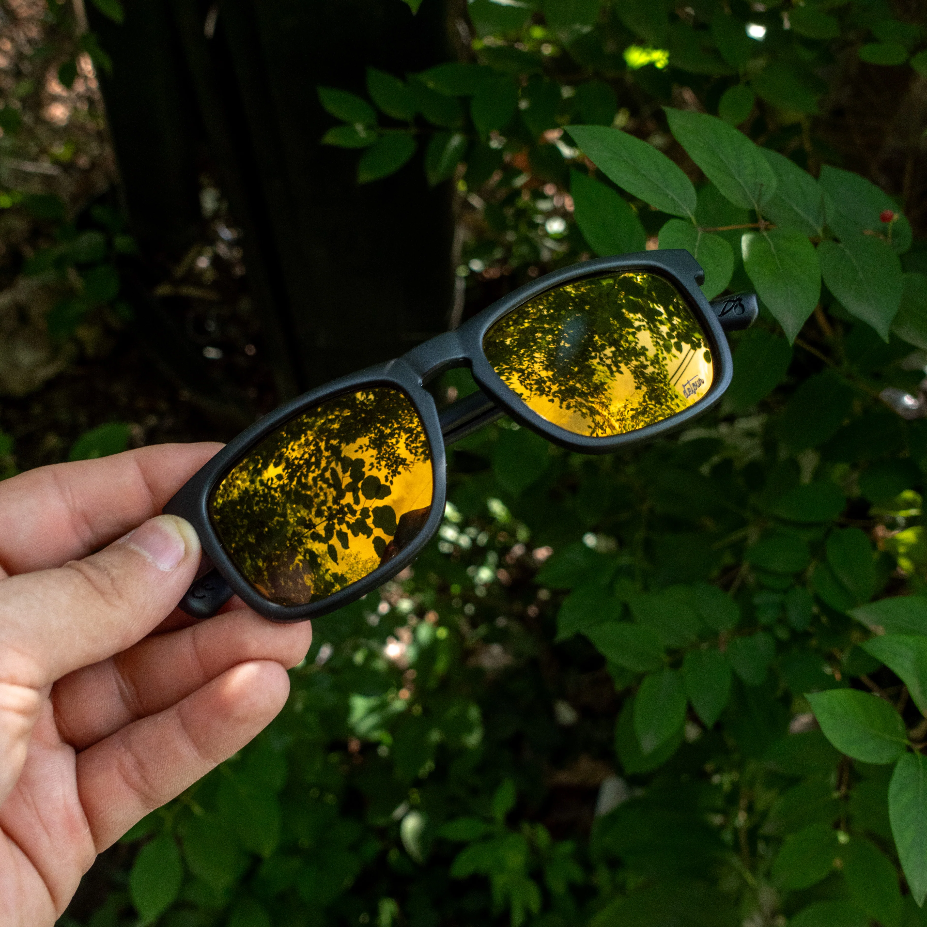 Floaties - Matte Black - 24k Gold Polarized - Image 3
