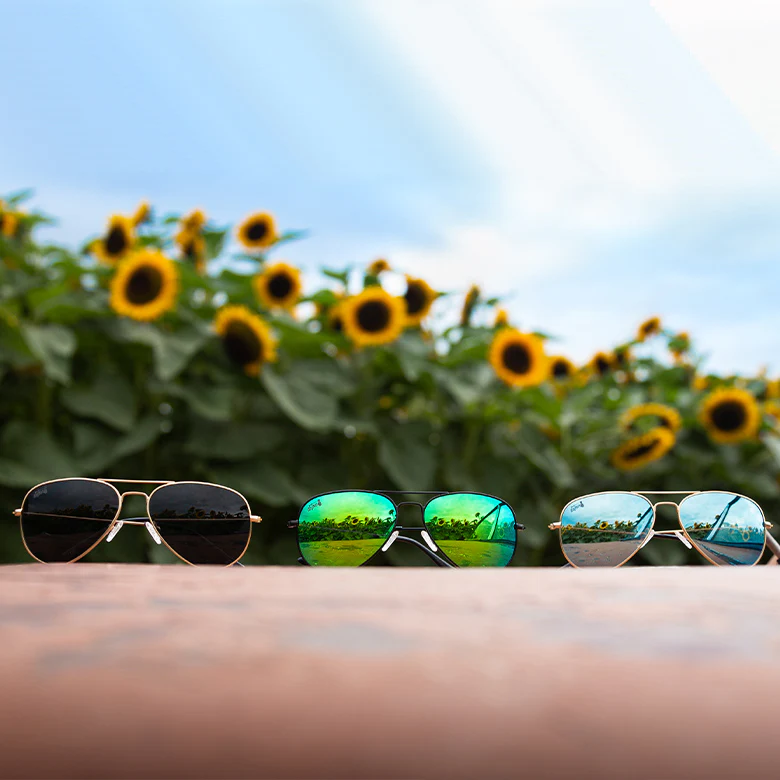 Gold - Sky Blue Lens Polarized - Oasis - Image 3