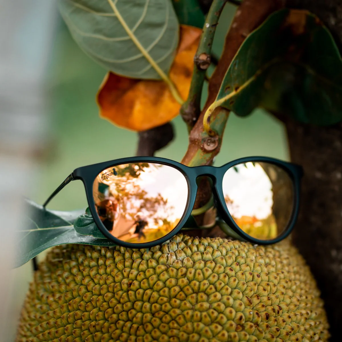 Hurricane - Matte Black - Dreamsicle Polarized - Image 5