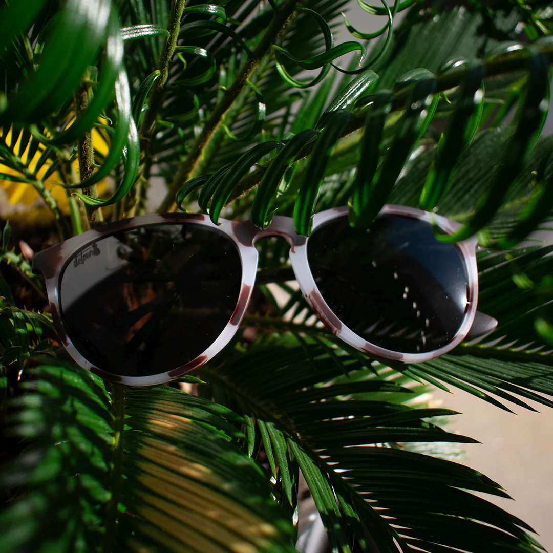Hurricane - Ivory Tortoise Shell - Jet Black Polarized - Image 3